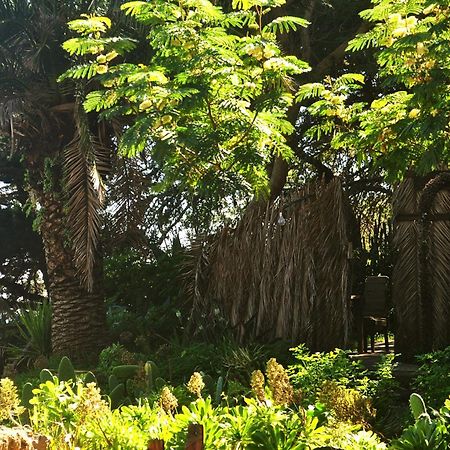 Studio Mazo The Glamping Lodero Luaran gambar